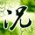 办理高仿法国国际商学院文凭学位【degxx.com】